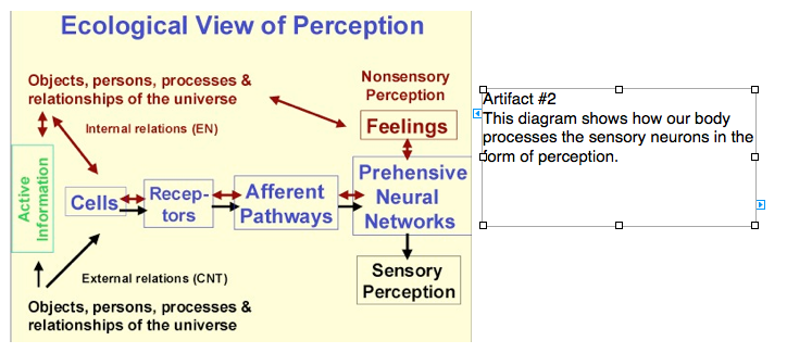 sensation and perception definition in psychology